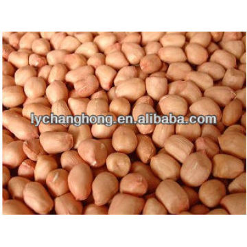 Le nouveau noyau de cacahuètes de la nouvelle récolte 2013 avec le prix le plus bas